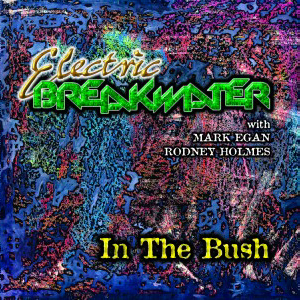 Electric Breakwater with Mark Egan & Rodney Holmes - In The Bush [CD]